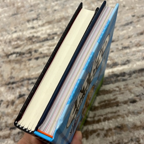 Wimpy Kid /Cat Kid book - Picture 4 of 6